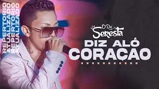 SILFARLEY 2023 ATUALIZADO CD NOVO 2023 REPERTÓRIO [DIZ ALÔ CORAÇÃO SERESTA MAIO 2023 ÁUDIO DVD