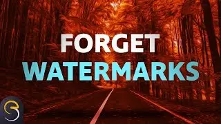 WATERMARKS on Photos: Should you use them?