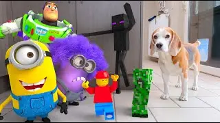 Animations in REAL LIFE vs Funny Dogs 🥳 | Minions - Toy Story - LEGO - Minecraft