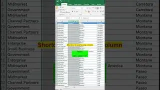 Shortcut to add new columns in excel #exceltutorial #advanceexcel #excel
