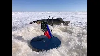 ЗИМНЯЯ РЫБАЛКА. На озеро за щуками. Зимняя ловля щуки на жерлицы