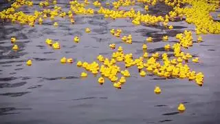 Ankanuitto/Rubber Duck Race of Valkeakoski 2018