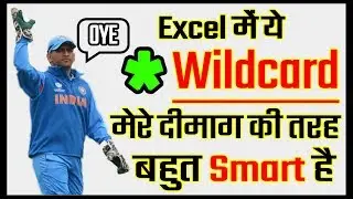 How to use Asterisk Wildcard Character in Excel in Hindi | * Asterisk Wildcard in Excel