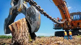 Amazing Powerful Stump Removal Excavator At Another Level, Fastest Wood Chipper Machines Working