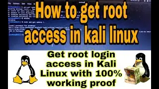 Root login access in Kali Linux