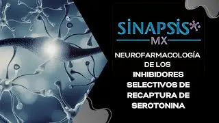 Inhibidores selectivos de la recaptura de serotonina (ISRS), todo lo que debes saber