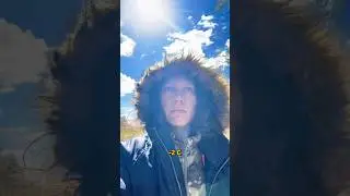 Жизнь на природе это не шутки  #природа #деревня #лес