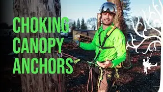 Choking Anchors for Spar Work | Stationary and Moving Rope systems SRS and MRS Part 1 Strider Trees