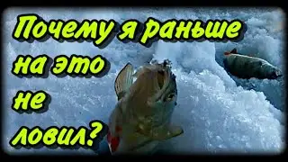 ОТЛИЧНАЯ НАСАДКА НА МОРМЫШКУ. Ловля окуня, голавля, уклейки на мормышку в глухозимье