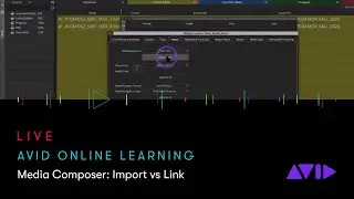 Avid Online Learning — Media Composer: Import vs Link