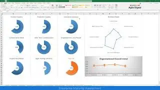 Business Agility Maturity Assessment