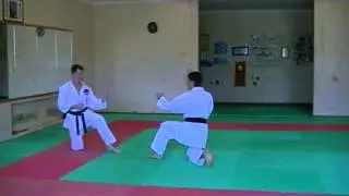 Demonstration Kihon Kumite [WADO KAI] - 5/1