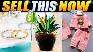 Top 8 AliExpress Winning Products To Dropship in May 2023  | Sell This Now