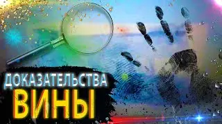 НЕОПРОВЕРЖИМЫЕ ДОКАЗАТЕЛЬСТВА ВИНЫ