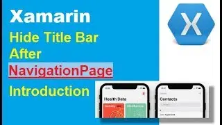 [WORKING DEMO!!!] Xamarin - Hide Title Bar (NavigationPage)