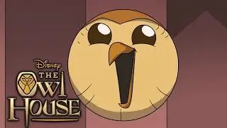 All Hooty Moments | The Owl House