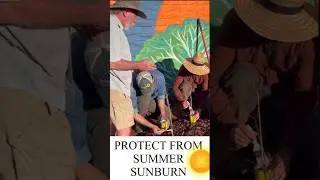 Protect Your Spring Plantings From Summer Sunburn 