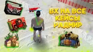 🎁 СЛИВ ВХ на ВСЕ КЕЙСЫ РАДМИР РП 🎁 САМЫЙ БЕСПАЛЕВНЫЙ ВХ 🎁