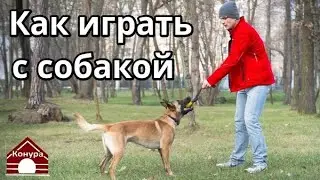 155. Как правильно играть с собакой. Как разыграть собаку?