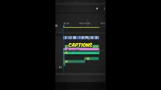 How To Animate Captions in Adobe Premiere Pro