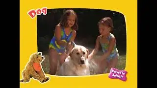 Barney's Colorful World Live Bonus Feature Animals