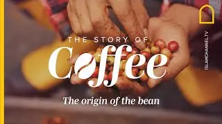 The Story of Coffee | The Origin of the Bean | Episode 1