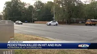 Man killed in hit-and-run near Hikes Point