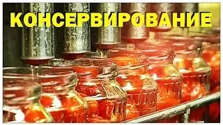 Галилео. Консервирование