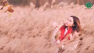 AMAZING BIRD MANIPULATION WITH GIRL IN PHOTOSHOP CS 6