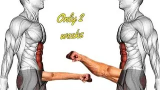 Strong and Unrivaled! | Must know 5 exercise for gain third leg HIGHT