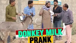 |_Donkey_Milk_Prank_|_By_Nadir_Ali_&_Team_in_|_P4_Pakao_. 😂