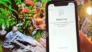 Не приходит код Телеграм, Как настроить Телеграм если не приходит код