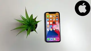 iPhone 11 in 2021 - Is It Worth It?