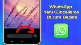 WhatsApp Durum Beğenme Seçeneği - WhatsApp Yeni Güncelleme