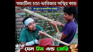 চাচা-ভাতিজার ভরপুর বিনোদন এ যেন টম এন্ড জেরি