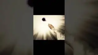#сайтамасоло