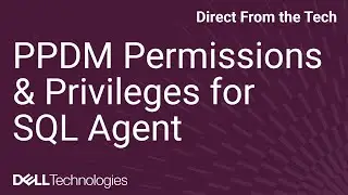 How to Configure Permissions and Privileges for PowerProtect Data Manager SQL Agent