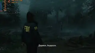 ALAN WAKE 2: RTX 2060+i5 11400