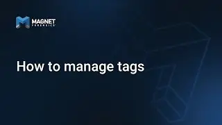 How to Manage Tags in Magnet REVIEW