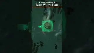 HOW TO BEAT FROX *gone VERY wrong* (Tears of the Kingdom)