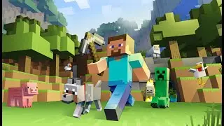 Playing Minecraft with the Community as a Beginner!