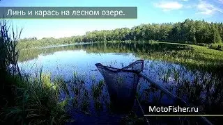 Fishing on the lake in Belarus. Vitebsk. Lin and carp.