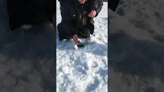 Адреналин на рыбалке 👍