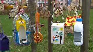 Покормите птиц зимой