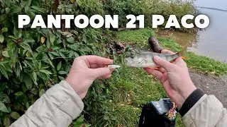 ОКУНИ НА СПИНИНГ ZIPBAITS KHAMSIN JR AND PANTOON21 PACO