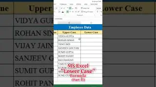 Convert Text into Lowercase in Excel #shorts