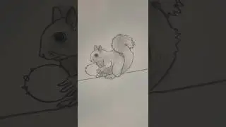 Draw a squirrel 🐿️ Easy drawing lesson for beginners on how to draw a squirrel. #howtodraw