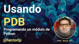 Usando PDB de Python: Python Debugger