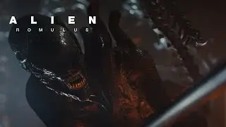 Alien: Romulus | Evolves | In Cinemas Now