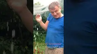 ПРОСТО ЧУДО затенение от жары над всем огородом
